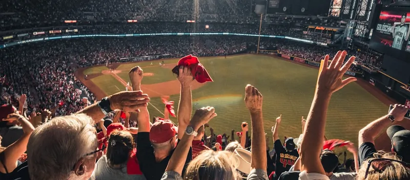 Fans watching a baseball game
